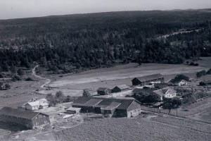 Bilde av HAUGHEM GÅRDENE  1940
